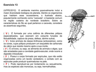 Exercício 13
(UFPE/2012) O ambiente marinho possivelmente inclui a
maior diversidade biológica do planeta. Dentre os organismos
que habitam esse ecossistema, o ilustrado abaixo,
popularmente conhecido como “caravela”, é bastante comum
na região costeira do nordeste brasileiro. Sobre as
características do filo ao qual pertence a caravela, considere
as assertivas seguintes.
( ) É formada por uma colônia de diferentes pólipos
especializados, que exercem em conjunto funções de
flutuabilidade, captura da presa, defesa, dentre outras.
( ) Inclui animais da classe Anthozoa (antozoários), como
os corais, cujos pólipos produzem um esqueleto de carbonato
de cálcio que resiste mesmo após a sua morte.
( ) É onívora, ou seja, se alimenta de animais e algas, que
são arrastados para a cavidade gastrovascular, onde ocorre a
digestão intracelular.
( ) Possui o corpo formado por espículas, que não estão
organizadas como um tecido verdadeiro; o contato com as
espículas pode produzir queimaduras na pele.
( ) Pode reproduzir-se por brotamento ou sexualmente,
mas as espécies são monoicas, ou seja, hermafroditas.
V
V
F
F
F
 