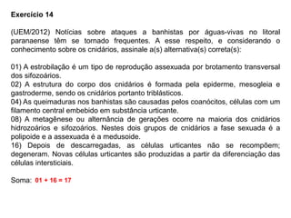 Exercício 14
(UEM/2012) Notícias sobre ataques a banhistas por águas-vivas no litoral
paranaense têm se tornado frequentes. A esse respeito, e considerando o
conhecimento sobre os cnidários, assinale a(s) alternativa(s) correta(s):
01) A estrobilação é um tipo de reprodução assexuada por brotamento transversal
dos sifozoários.
02) A estrutura do corpo dos cnidários é formada pela epiderme, mesogleia e
gastroderme, sendo os cnidários portanto triblásticos.
04) As queimaduras nos banhistas são causadas pelos coanócitos, células com um
filamento central embebido em substância urticante.
08) A metagênese ou alternância de gerações ocorre na maioria dos cnidários
hidrozoários e sifozoários. Nestes dois grupos de cnidários a fase sexuada é a
polipoide e a assexuada é a medusoide.
16) Depois de descarregadas, as células urticantes não se recompõem;
degeneram. Novas células urticantes são produzidas a partir da diferenciação das
células intersticiais.
Soma: 01 + 16 = 17
 