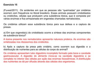 Exercício 15
(Fuvest/2011) Os acidentes em que as pessoas são “queimadas” por cnidários
ocorrem com frequência no litoral brasileiro. Esses animais possuem cnidoblastos
ou cnidócitos, células que produzem uma substância tóxica, que é composta por
várias enzimas e fica armazenada em organelas chamadas nematocistos.
Os cnidários utilizam essa substância tóxica para sua defesa e a captura de
presas.
a) Em que organela(s) do cnidoblasto ocorre a síntese das enzimas componentes
da substância tóxica?
b) Após a captura da presa pelo cnidário, como ocorrem sua digestão e a
distribuição de nutrientes para as células do corpo do animal?
A toxina presente nos nematocistos apresenta natureza proteica. As enzimas são
sintetizadas nos ribossomos dos cnidócitos.
Os cnidários apresentam tubo digestório incompleto formado pela boca e cavidade
gastrovascular. A digestão do alimento inicia-se na cavidade digestória e se
completa no interior das células por ação das enzimas lisossômicas. A distribuição
dos nutrientes se dá por difusão através das células dos organismos.
 