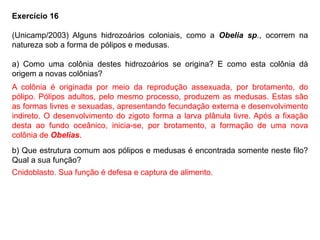 Exercício 16
(Unicamp/2003) Alguns hidrozoários coloniais, como a Obelia sp., ocorrem na
natureza sob a forma de pólipos e medusas.
a) Como uma colônia destes hidrozoários se origina? E como esta colônia dá
origem a novas colônias?
b) Que estrutura comum aos pólipos e medusas é encontrada somente neste filo?
Qual a sua função?
A colônia é originada por meio da reprodução assexuada, por brotamento, do
pólipo. Pólipos adultos, pelo mesmo processo, produzem as medusas. Estas são
as formas livres e sexuadas, apresentando fecundação externa e desenvolvimento
indireto. O desenvolvimento do zigoto forma a larva plânula livre. Após a fixação
desta ao fundo oceânico, inicia-se, por brotamento, a formação de uma nova
colônia de Obelias.
Cnidoblasto. Sua função é defesa e captura de alimento.
 