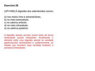 Exercício 28
(UFV-MG) A digestão dos celenterados ocorre:
a) nos meios intra e extracelulares.
b) no meio extracelular.
c) no celoma anterior.
d) no meio intracelular.
e) no celoma posterior.
A digestão desses animais ocorre tanto de forma
extracelular quanto intracelular. Inicialmente o
alimento sofre uma digestão parcial na cavidade
gastrovascular (extracelular) e, posteriormente, as
células que revestem essa cavidade finalizam o
processo (intracelular).
 