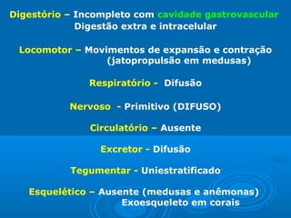 Digestório – Incompleto com cavidade gastrovascular
             Digestão extra e intracelular

 Locomotor – Movimentos de expansão e contração
                 (jatopropulsão em medusas)

               Respiratório - Difusão

           Nervoso - Primitivo (DIFUSO)

               Circulatório – Ausente

                 Excretor - Difusão

           Tegumentar - Uniestratificado

   Esquelético – Ausente (medusas e anêmonas)
                     Exoesqueleto em corais
 