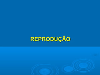 REPRODUÇÃO
 