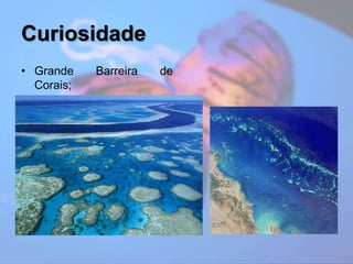 CuriosidadeGrande Barreira de Corais;