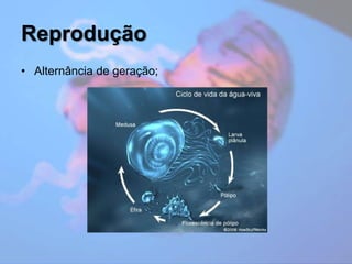 ReproduçãoAlternância de geração;