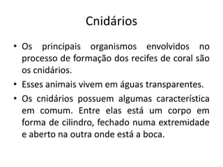 Cnidários
• Os principais organismos envolvidos no
  processo de formação dos recifes de coral são
  os cnidários.
• Esses animais vivem em águas transparentes.
• Os cnidários possuem algumas característica
  em comum. Entre elas está um corpo em
  forma de cilindro, fechado numa extremidade
  e aberto na outra onde está a boca.
 