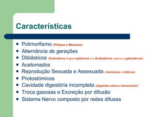 Características Polimorfismo  (Pólipos e Medusas) Alternância de gerações Diblásticos  ( Ectordema  origina  epiderme  e a  Endoderma  origina a  gatroderme ) Acelomados Reprodução Sexuada e Assexuada  ( monóicos  e  dióicos ) Protostómicos  Cavidade digestória incompleta  (digestão extra e intracelular) Troca gasosas e Excreção por difusão Sistema Nervo composto por redes difusas  