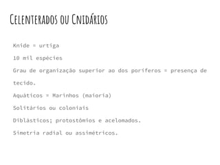 Celenterados ou Cnidários
Knide = urtiga
10 mil espécies
Grau de organização superior ao dos poríferos = presença de
tecido.
Aquáticos = Marinhos (maioria)
Solitários ou coloniais
Diblásticos; protostômios e acelomados.
Simetria radial ou assimétricos.
 