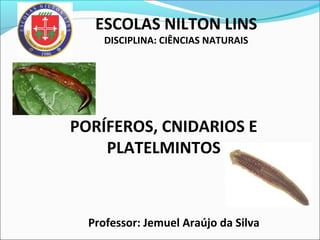 ESCOLAS NILTON LINS
DISCIPLINA: CIÊNCIAS NATURAIS
PORÍFEROS, CNIDARIOS E
PLATELMINTOS
Professor: Jemuel Araújo da Silva
 