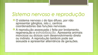 Sistema nervoso e reprodução
 O sistema nervoso é do tipo difuso, por não
apresentar gânglios, isto é, centros
coordenado...