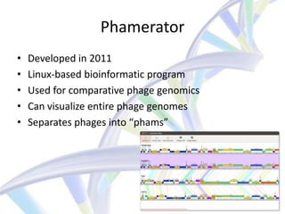 Phamerator
•   Developed in 2011
•   Linux-based bioinformatic program
•   Used for comparative phage genomics
•   Can visualize entire phage genomes
•   Separates phages into “phams”
 