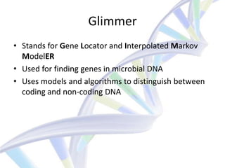 Glimmer
• Stands for Gene Locator and Interpolated Markov
  ModelER
• Used for finding genes in microbial DNA
• Uses models and algorithms to distinguish between
  coding and non-coding DNA
 