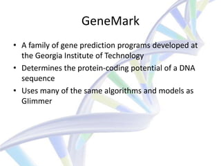 GeneMark
• A family of gene prediction programs developed at
  the Georgia Institute of Technology
• Determines the protein-coding potential of a DNA
  sequence
• Uses many of the same algorithms and models as
  GIimmer
 