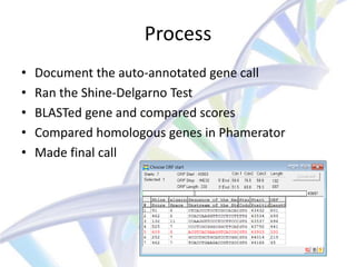 Process
•   Document the auto-annotated gene call
•   Ran the Shine-Delgarno Test
•   BLASTed gene and compared scores
•   Compared homologous genes in Phamerator
•   Made final call
 
