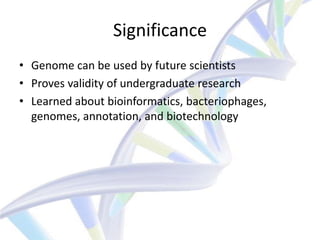 Significance
• Genome can be used by future scientists
• Proves validity of undergraduate research
• Learned about bioinformatics, bacteriophages,
  genomes, annotation, and biotechnology
 
