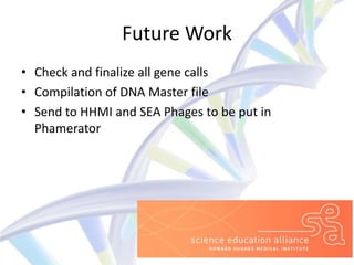 Future Work
• Check and finalize all gene calls
• Compilation of DNA Master file
• Send to HHMI and SEA Phages to be put in
  Phamerator
 