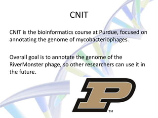 CNIT
CNIT is the bioinformatics course at Purdue, focused on
annotating the genome of mycobacteriophages.

Overall goal is to annotate the genome of the
RiverMonster phage, so other researchers can use it in
the future.
 