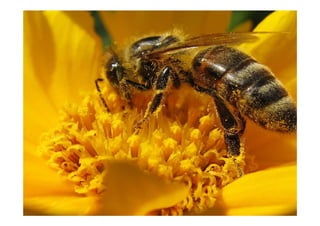 A necessária inovação social