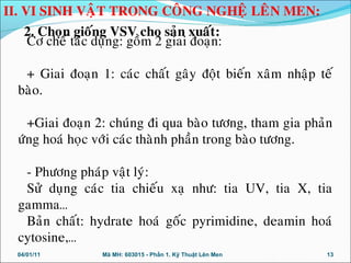 Cô cheá taùc duïng: goàm 2 giai ñoaïn:
+ Giai ñoaïn 1: caùc chaát gaây ñoät bieán xaâm nhaäp teá
baøo.
+Giai ñoaïn 2: chuùng ñi qua baøo töông, tham gia phaûn
öùng hoaù hoïc vôùi caùc thaønh phaàn trong baøo töông.
- Phöông phaùp vaät lyù:
Söû duïng caùc tia chieáu xaï nhö: tia UV, tia X, tia
gamma…
Baûn chaát: hydrate hoaù goác pyrimidine, deamin hoaù
cytosine,…
04/01/11 13Mã MH: 603015 - Phần 1. Kỹ Thuật Lên Men
II. VI SINH VAÄT TRONG COÂNG NGHEÄ LEÂN MEN:
2. Choïn gioáng VSV cho saûn xuaát:
 