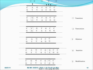 1 2 3 4 5
C
G
A
T
G
C
T
A
G
C
C
G
C
G
C
G
G
C
G
C
T
A
G
C
C
G
C
G
C
G
C
G
G
C
T
A
G
C
C
G
C
G
C
G
A
T
G
C
T
A
C
G
C
G
C
G
A
T
G
C
T
A
G
C
C
G
C
G
A
T
C
G
G
C
G
C
T
A
G
C
U
A
C
G
1 Transition
2 Tranversion
3
4
5 Modification
Insertion
Deletion
Hình 1: Caùc daïng ñoät bieán
04/01/11 14Mã MH: 603015 - Phần 1. Kỹ Thuật Lên Men
 