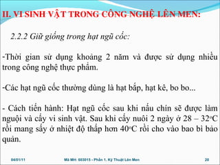 04/01/11 Mã MH: 603015 - Phần 1. Kỹ Thuật Lên Men 20
2.2.2 Giữ giống trong hạt ngũ cốc:
-Thời gian sử dụng khoảng 2 năm và được sử dụng nhiều
trong công nghệ thực phẩm.
-Các hạt ngũ cốc thường dùng là hạt bắp, hạt kê, bo bo...
- Cách tiến hành: Hạt ngũ cốc sau khi nấu chín sẽ được làm
nguội và cấy vi sinh vật. Sau khi cấy nuôi 2 ngày ở 28 – 32o
C
rồi mang sấy ở nhiệt độ thấp hơn 40o
C rồi cho vào bao bì bảo
quản.
II. VI SINH VAÄT TRONG COÂNG NGHEÄ LEÂN MEN:
 