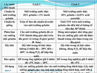 Caùc böôùc
tieán haønh
Caùch 1 Caùch 2
Chuaån bò
moâi tröôøng
gelatin
Moâi tröôøng nöôùc thòt:
10% gelatin + 5% inosit
Moâi tröôøng nöôùc thòt:
10% gelatin + 0,25% acid
ascorbic
Chuaån bò
gioáng
Troän teá baøo ñaõ chuaån bò tröôùc
vaøo moâi tröôøng gelatin
Nuoâi VSV treân moâi tröôøng
gelatin cho ñeán khi soá löôïng teá
baøo ñaït 1010
tb/ml
Phaân laøm
caùc mieáng
nhoû gelatin
Cho moâi tröôøng gelatin ñaõ coù
VSV thaønh töøng gioït nhoû treân
ñóa petri voâ truøng (8 gioït/ pettri
Φ 9cm)
Duøng micropipet nhoû töøng gioït
leân caùc mieáng giaáy neán ñaõ ñöôïc
thanh truøng caån thaän trong caùc
ñóa petri
Saáy khoâ Saáy khoâ trong tuû huùt chaân
khoâng ôû nhieät ñoä – 200
C ñeán –
400
C vaø duøng P2
O5
ñeå haáp thuï
nöôùc
Saáy khoâ trong tuû huùt chaân
khoâng, duøng P2
O5
ñeå haáp thuï
nöôùc
Baûo quaûn Ñeå trong oáng nghieäm giöõ ôû nhieät
ñoä +50
C hoaëc – 200
C
Ñeå trong oáng nghieäm giöõ ôû nhieät
ñoä +50
C
Söû duïng Laáy caùc mieáng gelatin cho vaøo moâi tröôøng loûng thích hôïp. Laáy moät
mieáng gelatin cho vaøo 1ml moâi tröôøng loûng thích hôïp, nuoâi 24h ôû04/01/11 23Mã MH: 603015 - Phần 1. Kỹ Thuật Lên Men
 