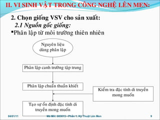 2. Choïn gioáng VSV cho saûn xuaát:
2.1 Nguoàn goác gioáng:
Phaân laäp töø moâi tröôøng thieân nhieân
Phaân laäp canh tröôøng taäp trung
Nguyeân lieäu
duøng phaân laäp
Phaân laäp chuaån thuaàn khieát
Taïo söï oån ñònh ñaëc tính di
truyeàn mong muoán
Kieåm tra ñaëc tính di truyeàn
mong muoán
04/01/11 9Mã MH: 603015 - Phần 1. Kỹ Thuật Lên Men
II. VI SINH VAÄT TRONG COÂNG NGHEÄ LEÂN MEN:
 