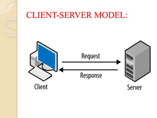 Computer Network & Layered Protocols | PPTX