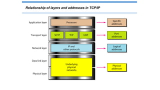 Relationship of layers and addresses in TCP/IP
 