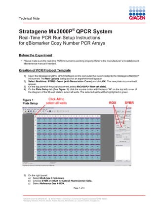 Technical Note

Stratagene Mx3000P® QPCR System
Real-Time PCR Run Setup Instructions
for qBiomarker Copy Number PCR Arrays
Before the Experiment
 Please make sure the real-time PCR instrument is working properly. Refer to the manufacturer’s Installation and
Maintenance manual if needed.

Creation of PCR Protocol Template
1)
2)
3)
4)

Open the Stratagene MxPro QPCR Software on the computer that is con nected to the Stratagene Mx3000P
instrument. The New Options dialog box for an experiment will appear.
Select Real-time: SYBR® Green (with Dissociation Curve) and click OK. The new plate document will
appear.
On the top panel of the plate document, select Mx3000P (4 filter set plate).
On the Plate Setup tab (See Figure 1), click the square button with the word “All” on the top left corner of
the diagram of the 96-well plate to select all wells. The selected wells will be highlighted in green.

Figure 1
Plate Setup

5)

Click All to
select all wells

ROX

On the right panel:
a) Select Well-type  Unknown.
b) Choose SYBR and ROX for Collect Fluorescence Data.
c) Select Reference Dye  ROX.
Page 1 of 4

QIAGEN GmbH  QIAGEN Str. 1  40724 Hilden  Germany  Commercial Register Düsseldorf (HRB 45822)
Managing Directors: Peer M. Schatz, Roland Sackers, Bernd Uder, Dr. Joachim Schorr, Douglas Liu

SYBR

 