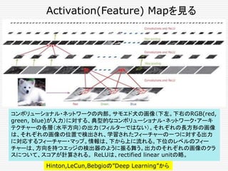コンボリューショナル・ネットワークの内部。サモエド犬の画像（下左。下右のRGB(red,
green, blue)が入力）に対する、典型的なコンボリューショナル・ネットワーク・アーキ
テクチャーの各層（水平方向）の出力（フィルターではない）。それぞれの長方形の画像
は、それぞれの画像の位置で検出され、学習されたフィーチャーの一つに対する出力
に対応するフィーチャー・マップ。情報は、下から上に流れる。下位のレベルのフィー
チャーは、方向を持つエッジの検出器のように振る舞う。出力のそれぞれの画像のクラ
スについて、スコアが計算される。 ReLUは、rectified linear unitの略。
Activation(Feature) Mapを見る
Hinton,LeCun,Bebgioの”Deep Learning”から
 