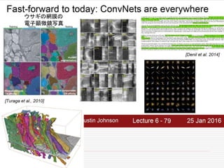 ウサギの網膜の
電子顕微鏡写真
 