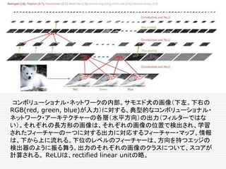 コンボリューショナル・ネットワークの内部。サモエド犬の画像（下左。下右の
RGB(red, green, blue)が入力）に対する、典型的なコンボリューショナル・
ネットワーク・アーキテクチャーの各層（水平方向）の出力（フィルターではな
い）。それぞれの長方形の画像は、それぞれの画像の位置で検出され、学習
されたフィーチャーの一つに対する出力に対応するフィーチャー・マップ。情報
は、下から上に流れる。下位のレベルのフィーチャーは、方向を持つエッジの
検出器のように振る舞う。出力のそれぞれの画像のクラスについて、スコアが
計算される。 ReLUは、rectified linear unitの略。
 