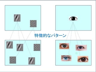 特徴的なパターン
 