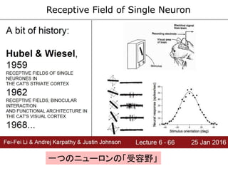 Receptive Field of Single Neuron
一つのニューロンの「受容野」
 
