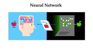 Neural Network
 