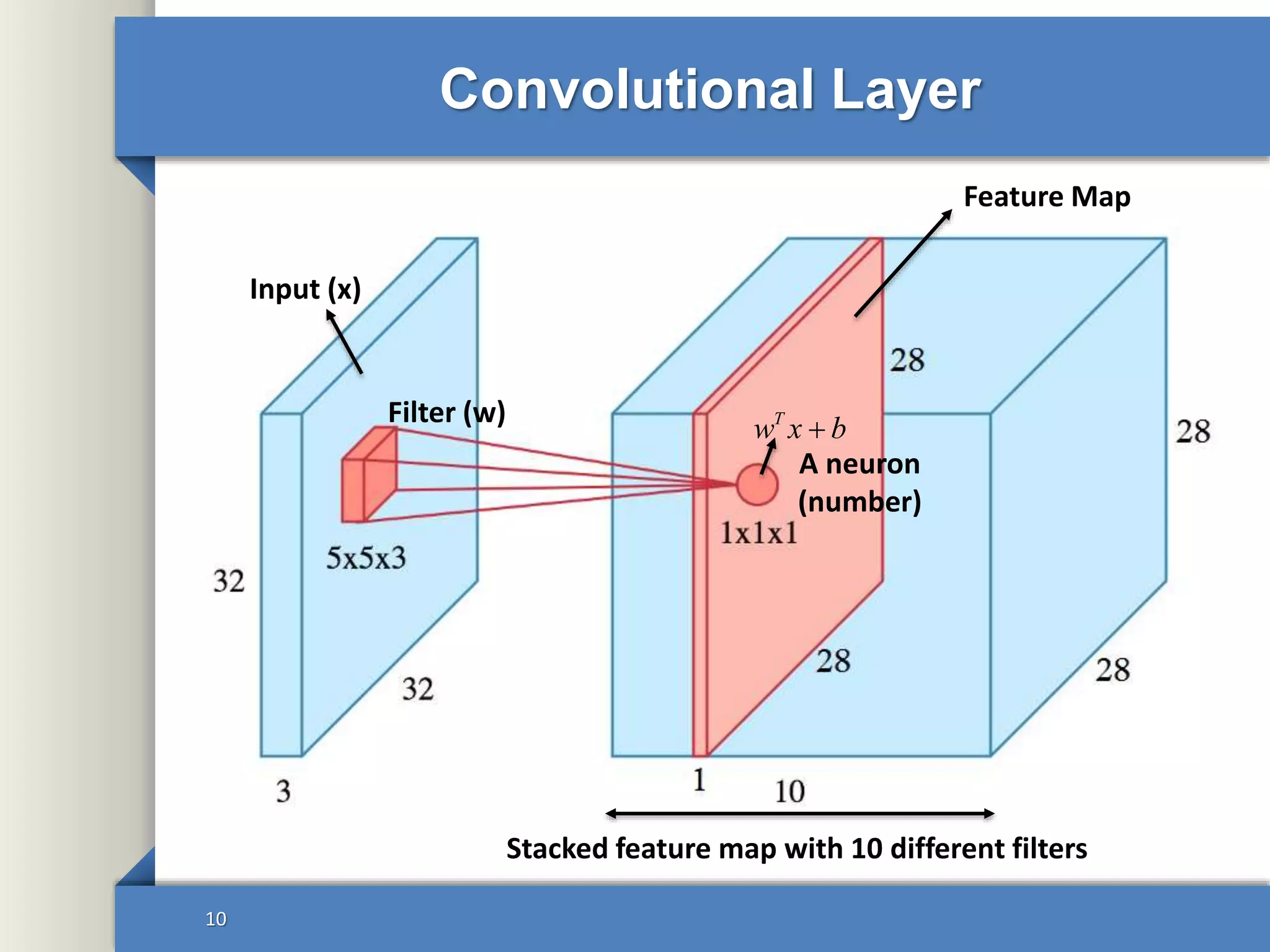 Convolutional Layer
10
Input (x)
Filter (w)
Feature Map
Stacked feature map with 10 different filters
A neuron
(number)
T
w x b
 