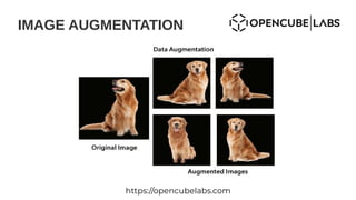 IMAGE AUGMENTATION
https://opencubelabs.com
 
