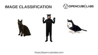 IMAGE CLASSIFICATION
https://opencubelabs.com
 