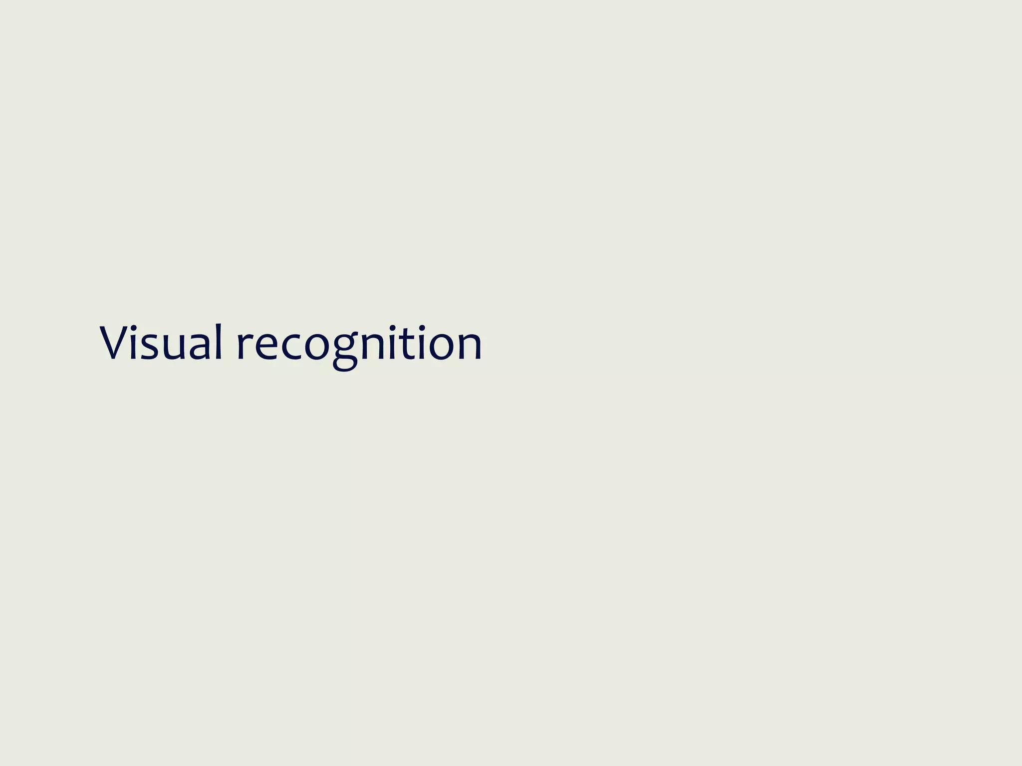 Visual recognition
 