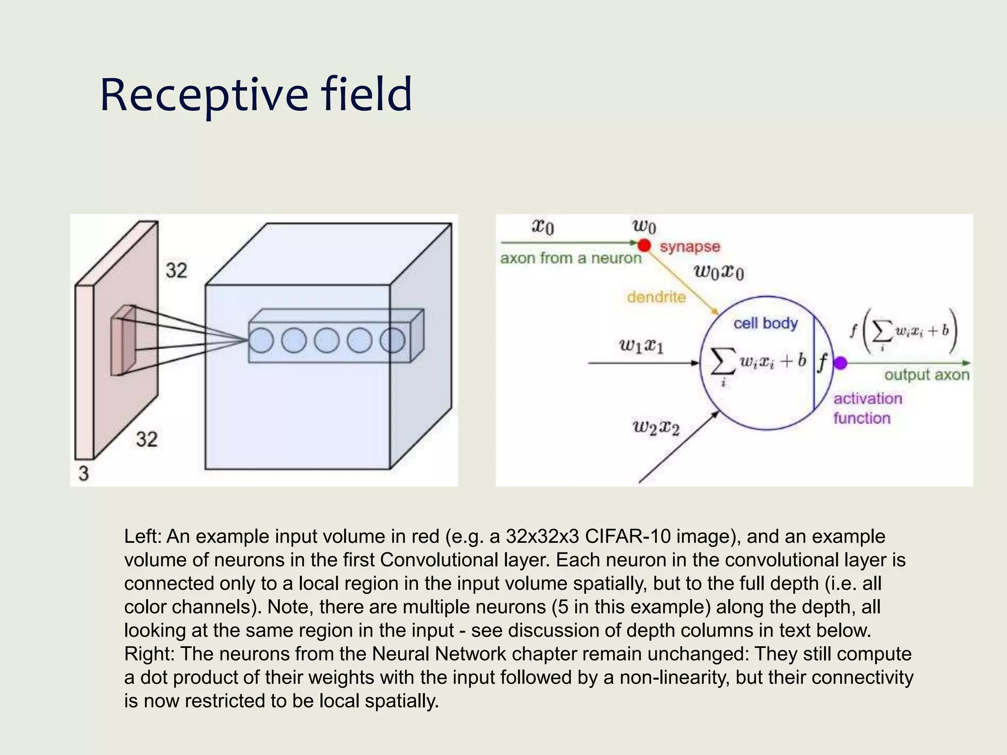 Receptive field
Left: An example input volume in red (e.g. a 32x32x3 CIFAR-10 image), and an example
volume of neurons in the first Convolutional layer. Each neuron in the convolutional layer is
connected only to a local region in the input volume spatially, but to the full depth (i.e. all
color channels). Note, there are multiple neurons (5 in this example) along the depth, all
looking at the same region in the input - see discussion of depth columns in text below.
Right: The neurons from the Neural Network chapter remain unchanged: They still compute
a dot product of their weights with the input followed by a non-linearity, but their connectivity
is now restricted to be local spatially.
 