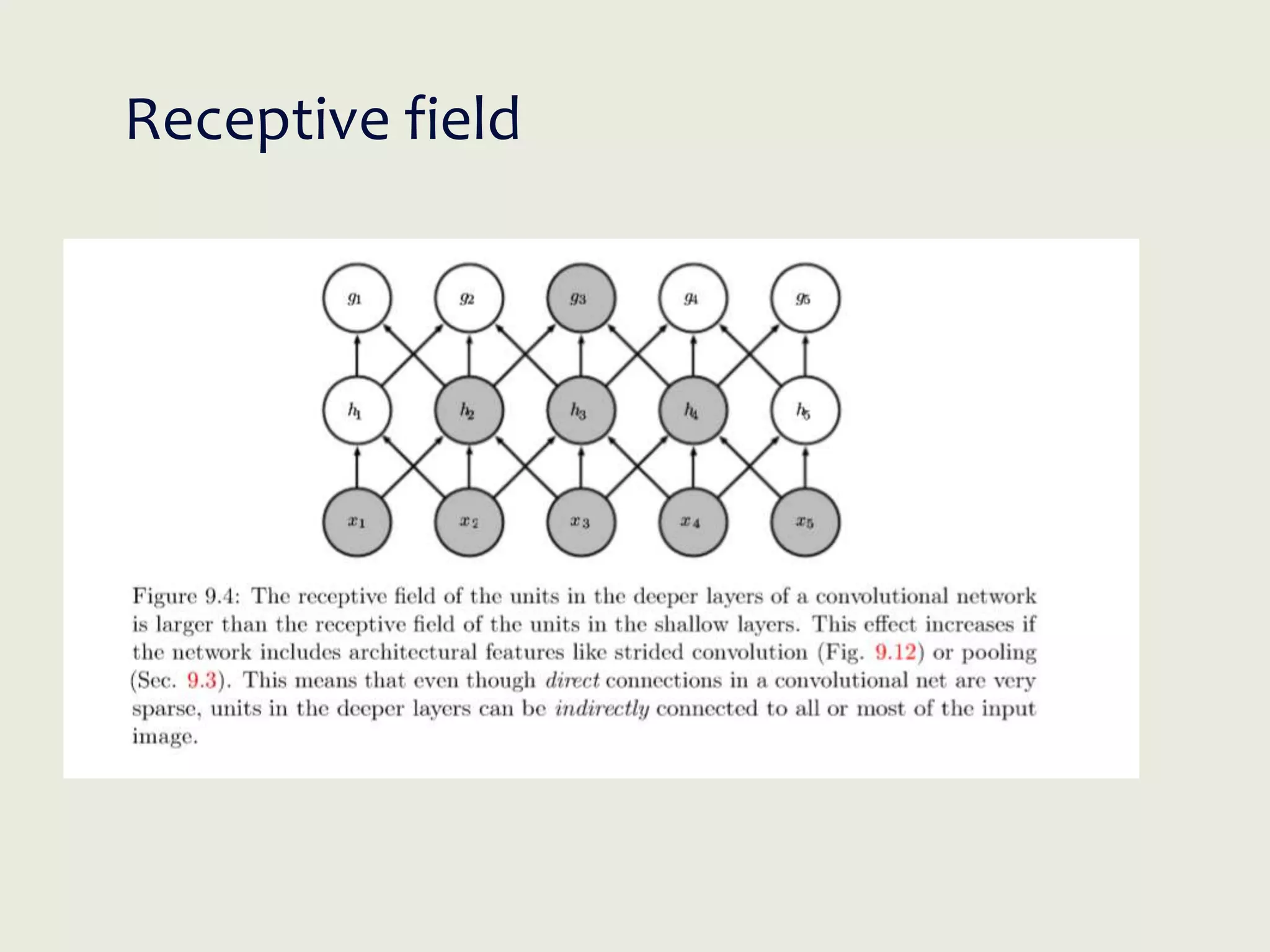 Receptive field
 