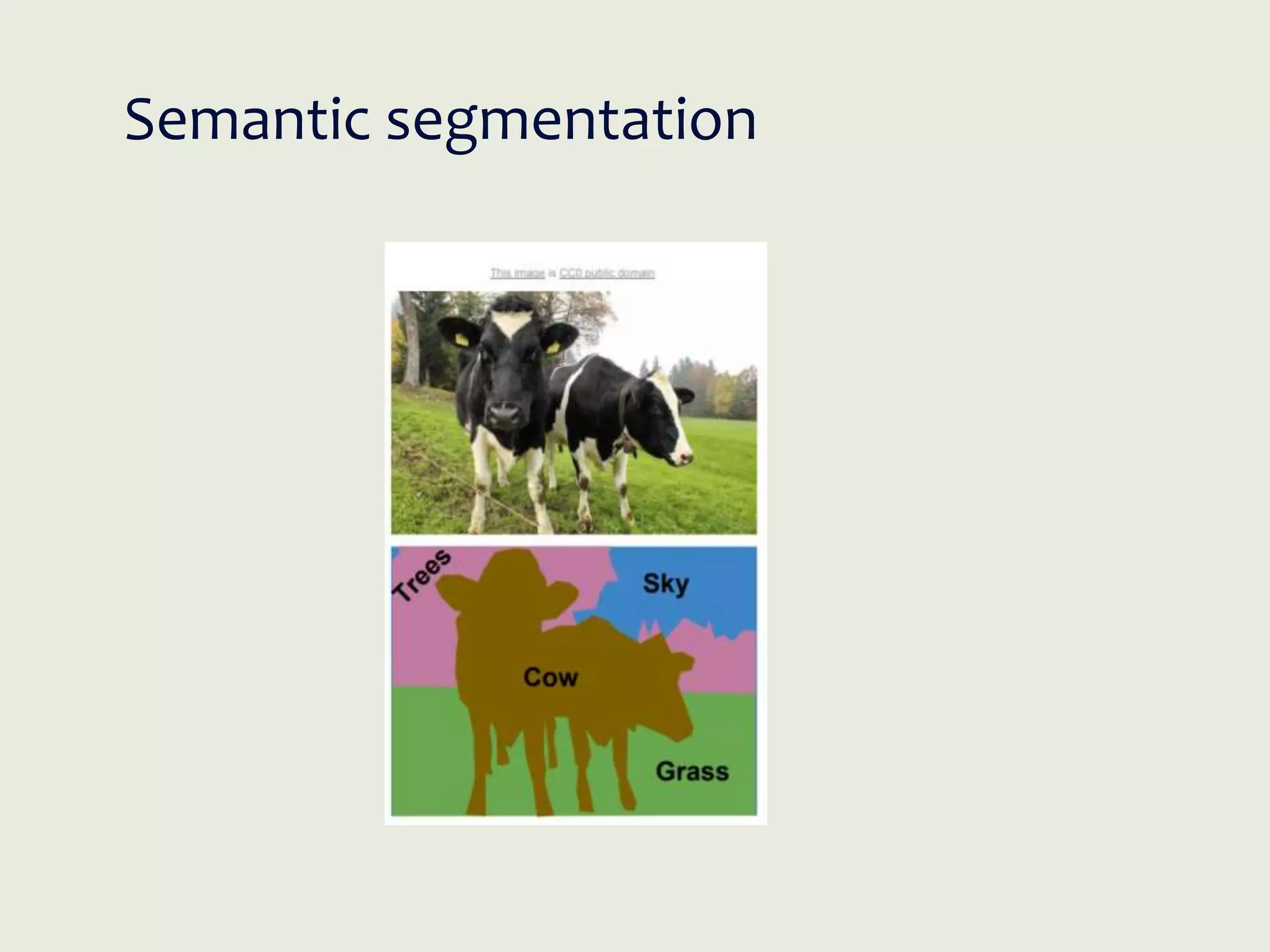 Semantic segmentation
 