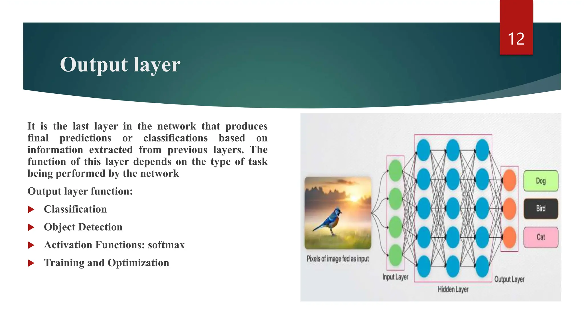 Output layer It is the last layer in the network that produces final predictions or classifications based on information extracted from previous layers. The function of this layer depends on the type of task being performed by the network Output layer function:  Classification  Object Detection  Activation Functions: softmax  Training and Optimization 12 
