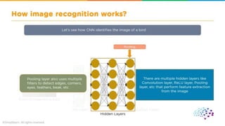 CNN ( convolutional neural network ).pdf