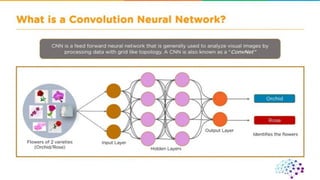 CNN ( convolutional neural network ).pdf
