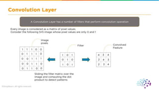 CNN ( convolutional neural network ).pdf
