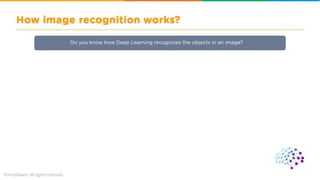 CNN ( convolutional neural network ).pdf
