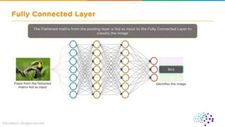 CNN ( convolutional neural network ).pdf