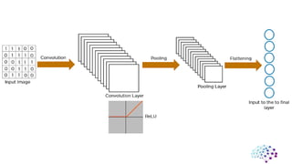 CNN ( convolutional neural network ).pdf